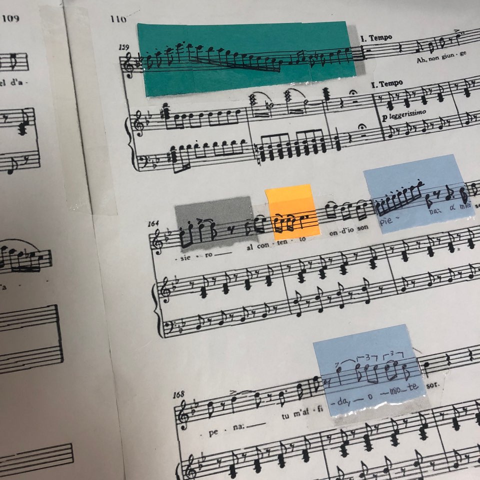  벨리니 오페라: La Sonnambula- Ah! non credea mirarti... Ah! non giunge