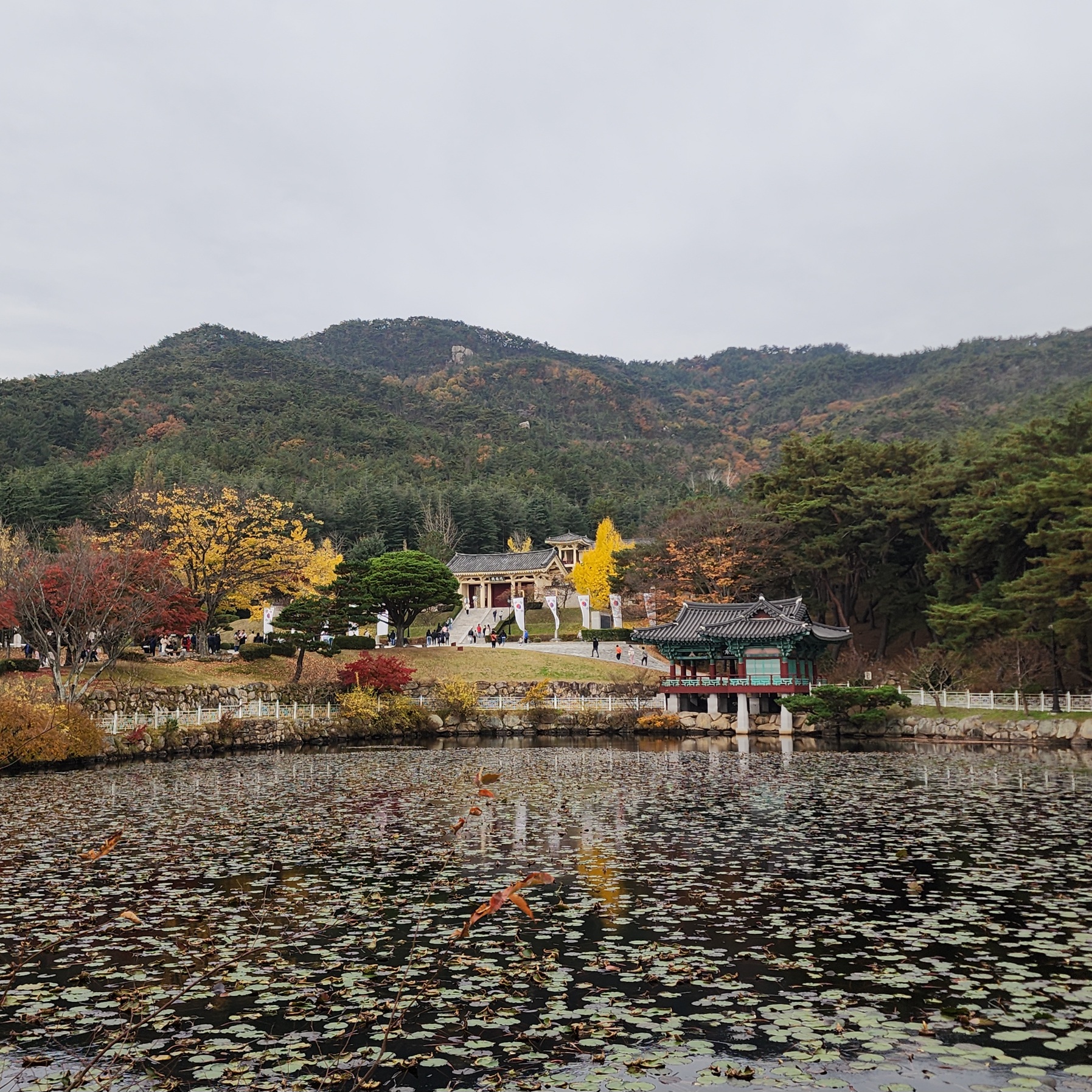 통일전-단풍