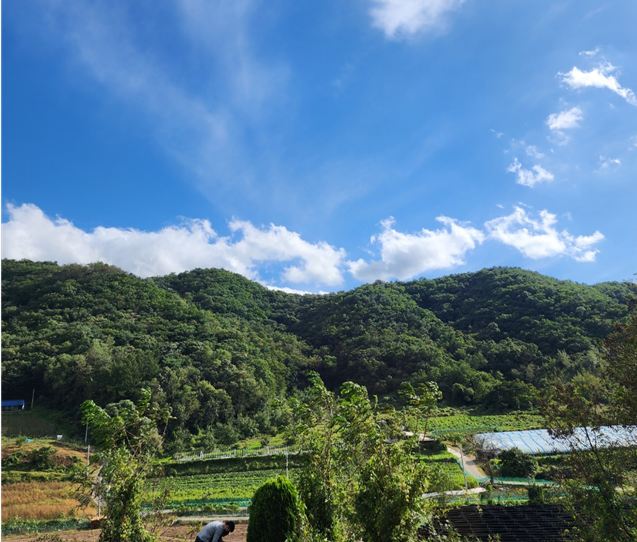 음성 산 모습