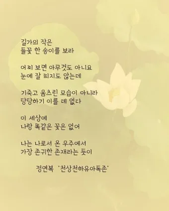 천상천하 유아독존 석가탄신일 불교 의미_20