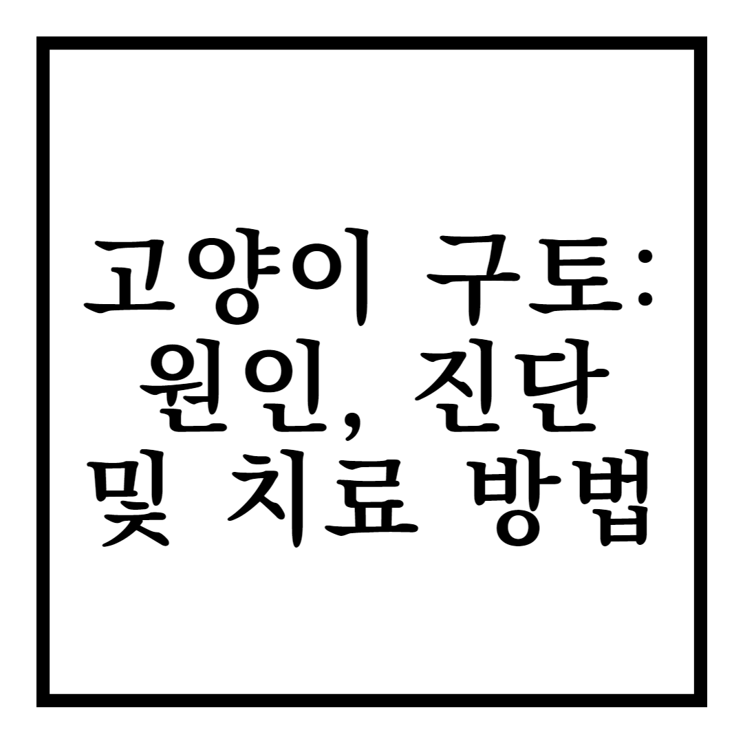 고양이 구토 원인, 진단 및 치료 방법