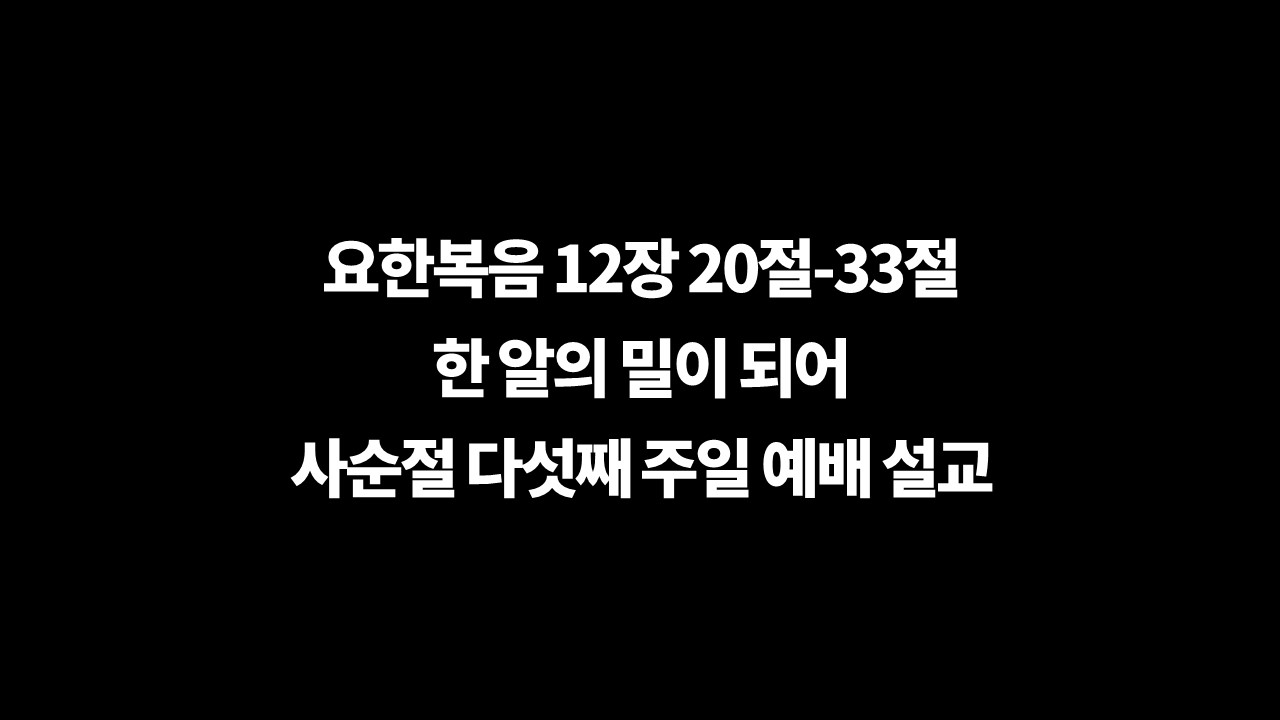 사순절다섯째주일,예배설교,한알의밀,죽기위하여,요한복음12장20절33절,한알의밀이되어,코로나간호사,생명을미워하는,영생