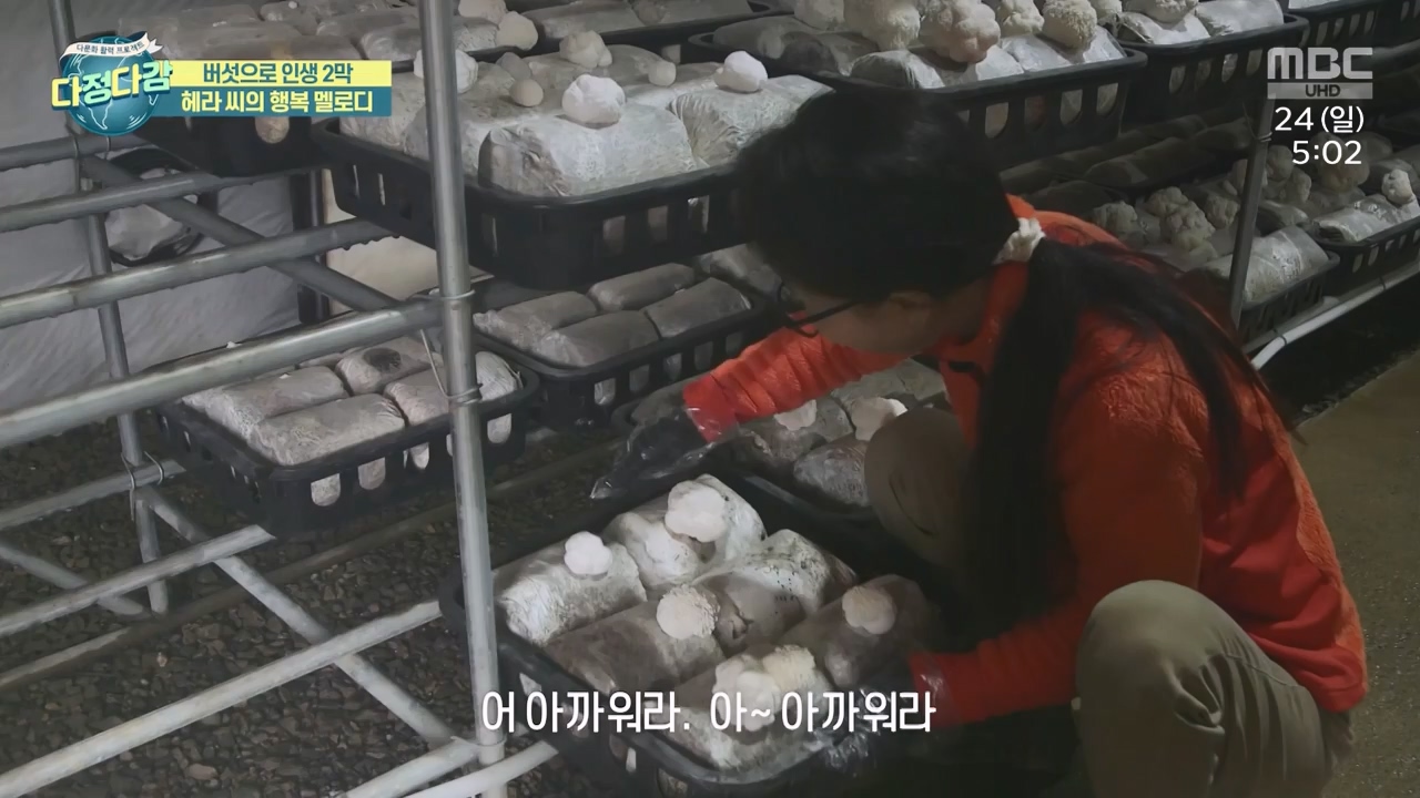 MBC 네트워크 특선 - 다문화 활력 프로젝트 다정다감.E1669.240325p-NEXT.mp4_20240328_202435.921.jpg