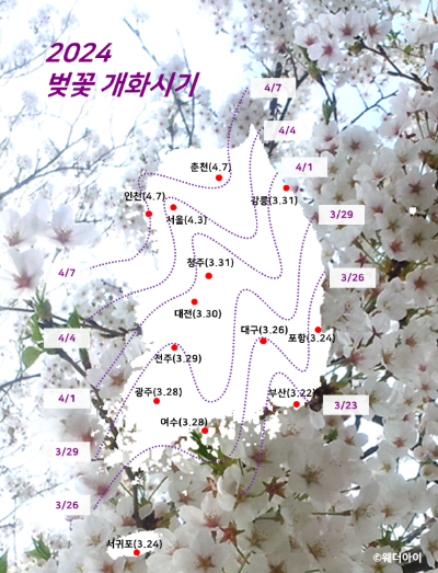  벚꽃 개화시기 2024 벚꽃 명소