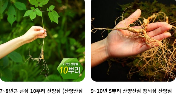 백년지기 이미지