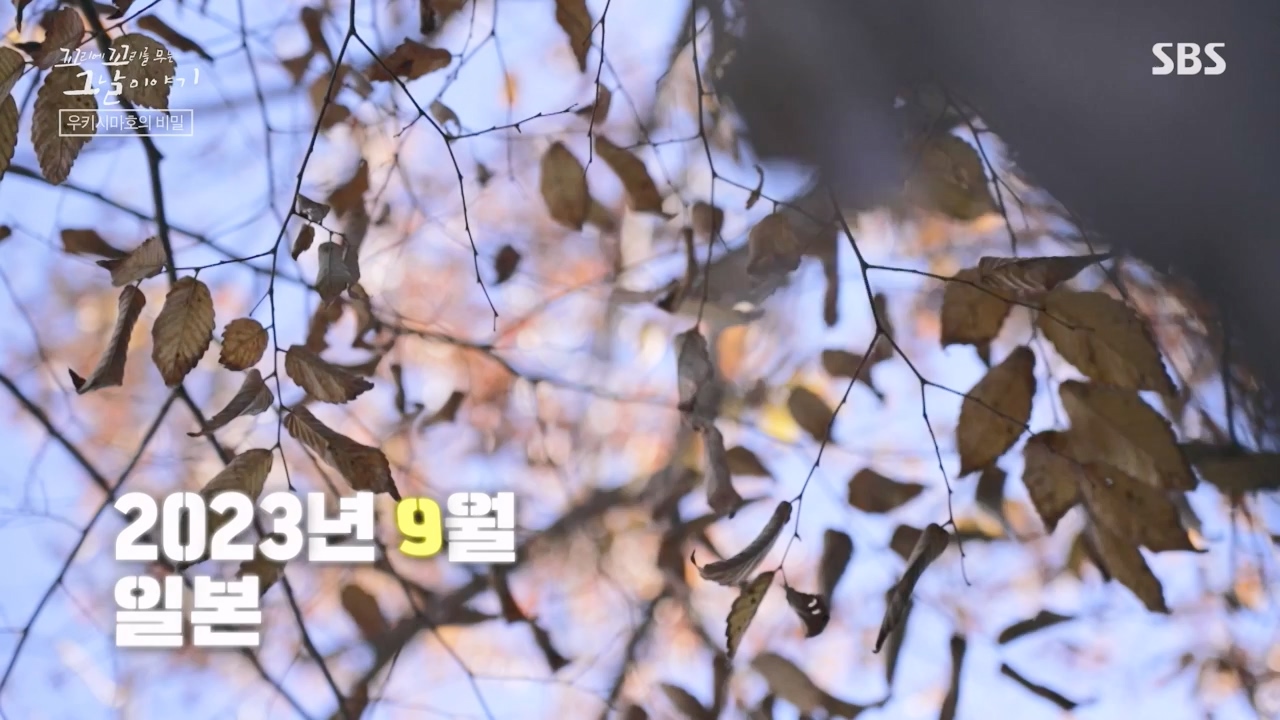 꼬리에 꼬리를 무는 그날 이야기.E112.240126p-NEXT.mp4_20240127_140347.497.jpg