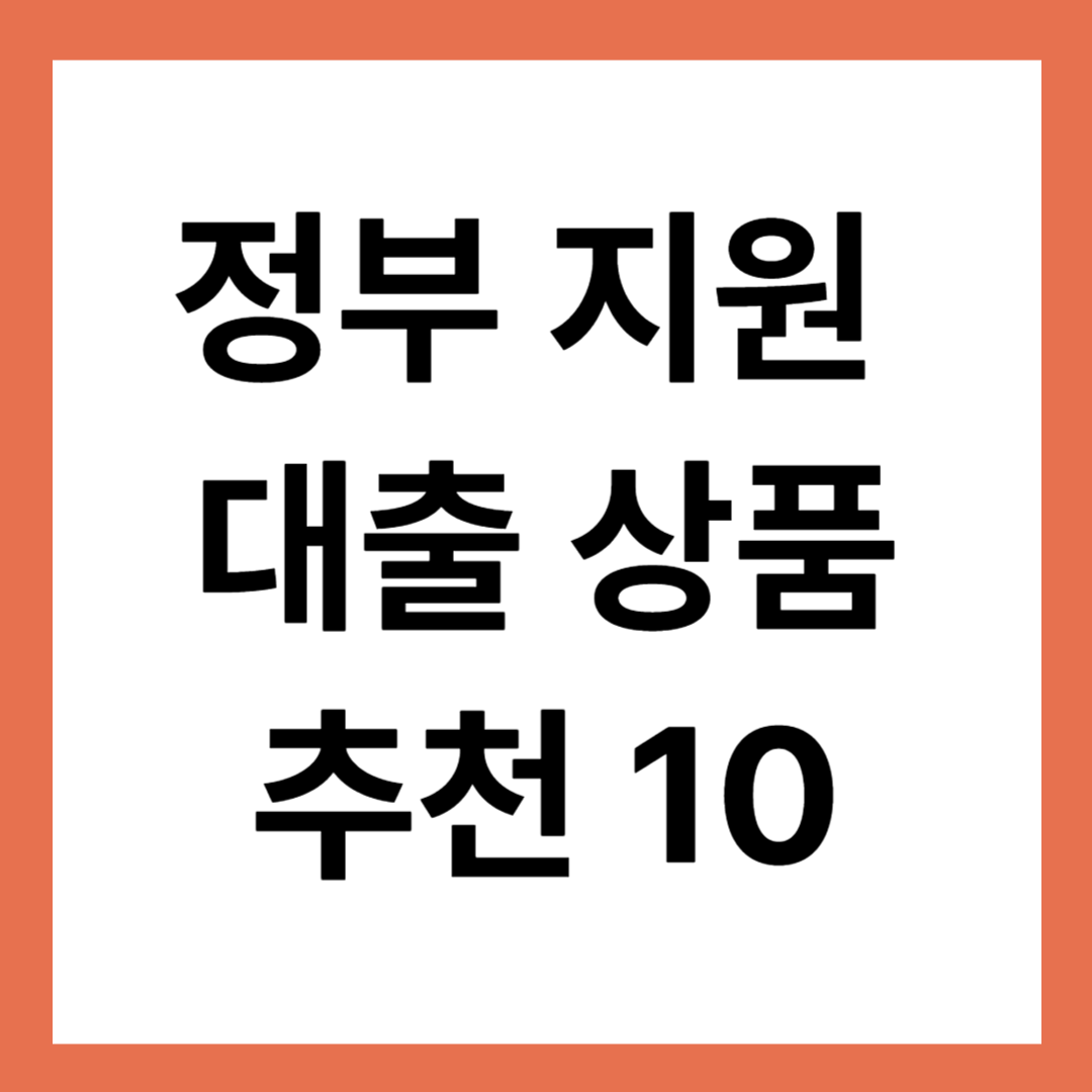정부 지원 대출