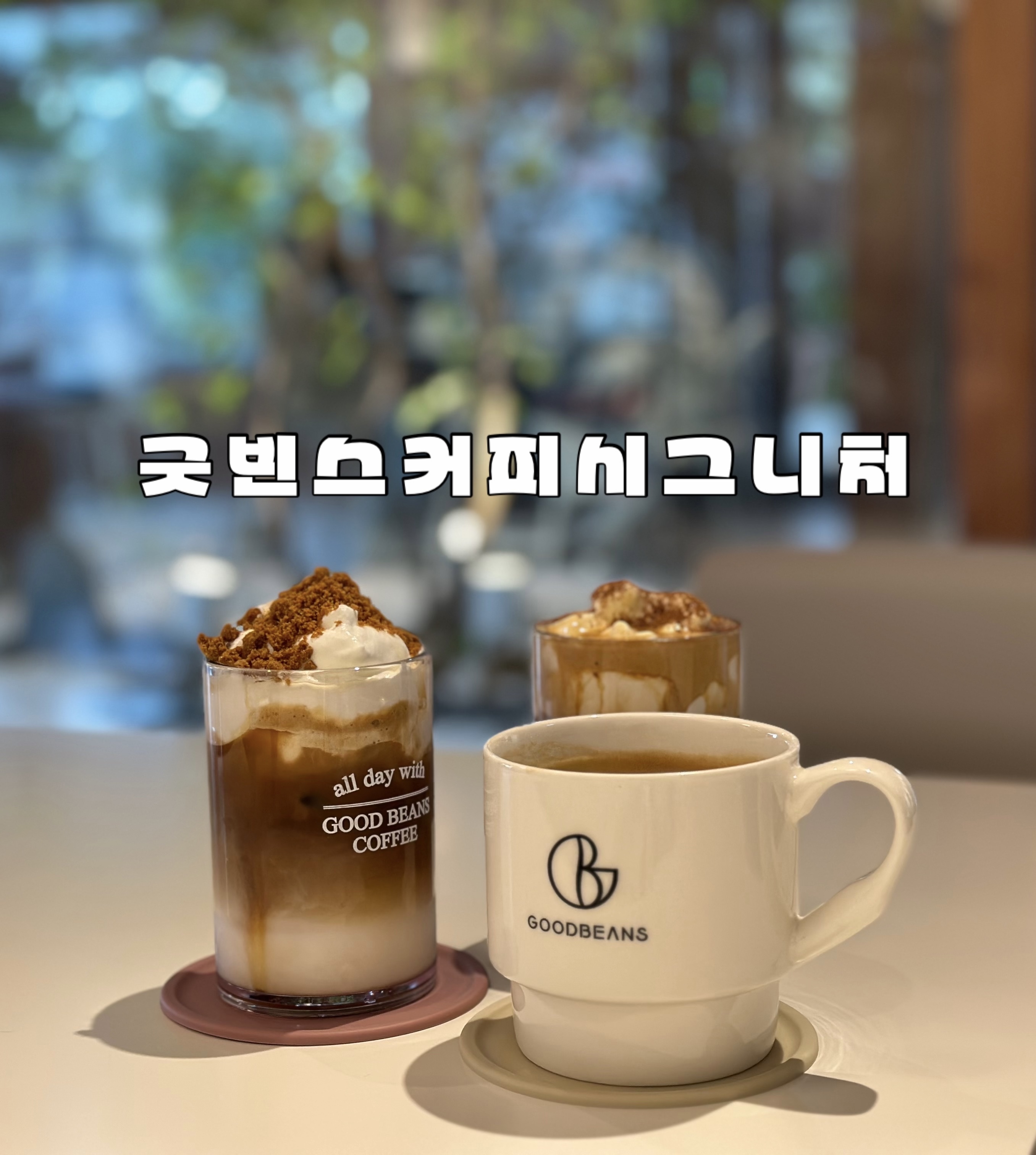 빈스 이미지