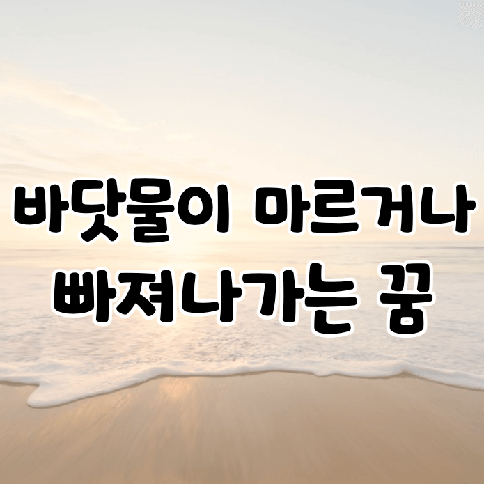 썰물