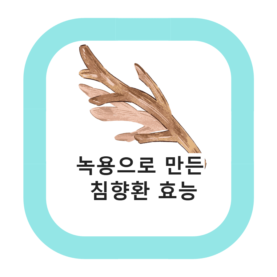 녹용뿔 사진