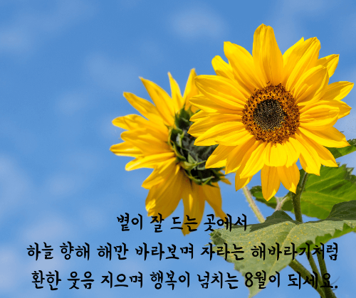  8월 인사말, 건강 안부, 무더위 여름 인사말, 8월 달력 공유