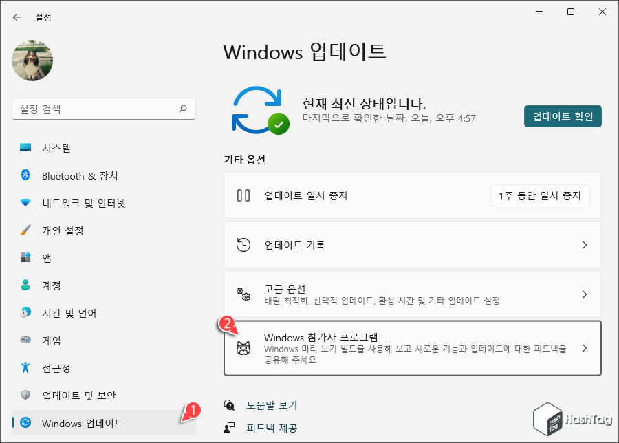 Windows 참가자 프로그램