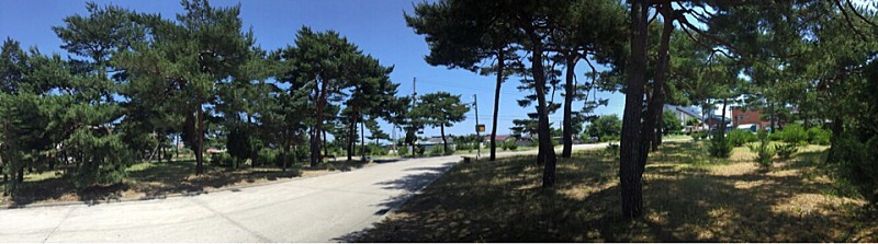  동해 송정동 철기시대유적