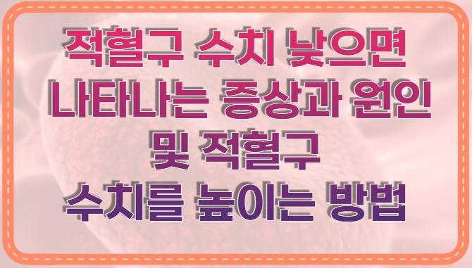 적혈구 수치 낮으면 나타나는 증상과 원인 및 적혈구 수치를 높이는 방법