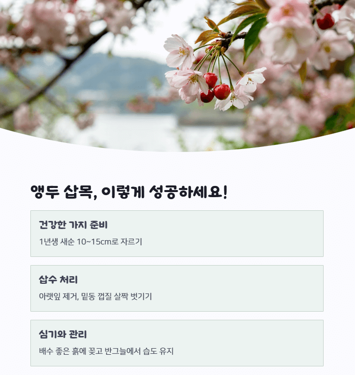 앵두나무 삽목