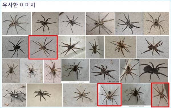  모바일, PC에서의 이미지 검색 방법