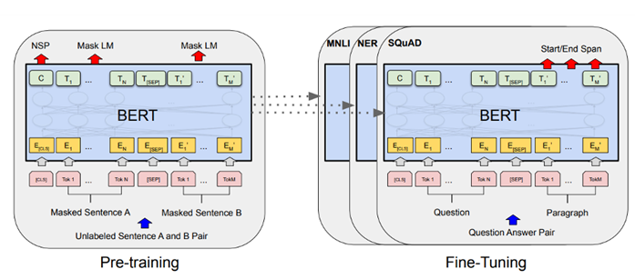 BERT의 Pre-training과 Fine-tuning