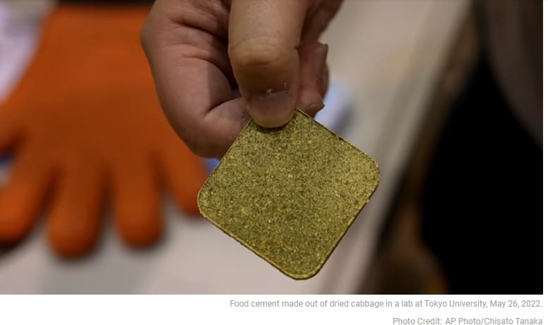 먹을 수 있는 집? 꿈 같은 얘기 절대 아닙니다 Food Waste Cement: A Gingerbread House-Style Building Option