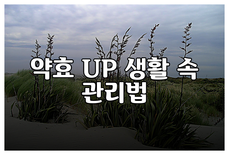 약효 UP 생활 속 관리법
