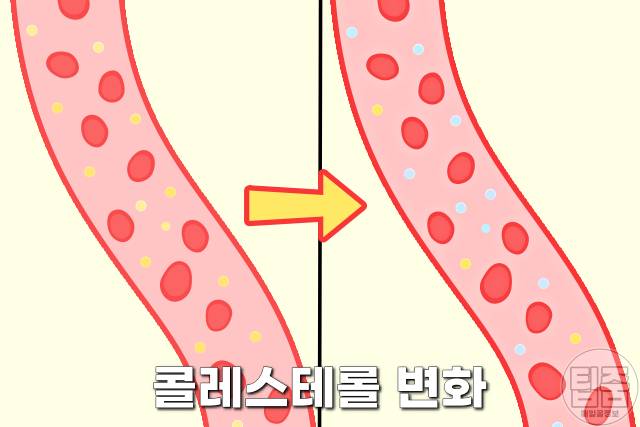 쑥효능, 혈액순환개선, 쑥요리, 건조쑥혼합물