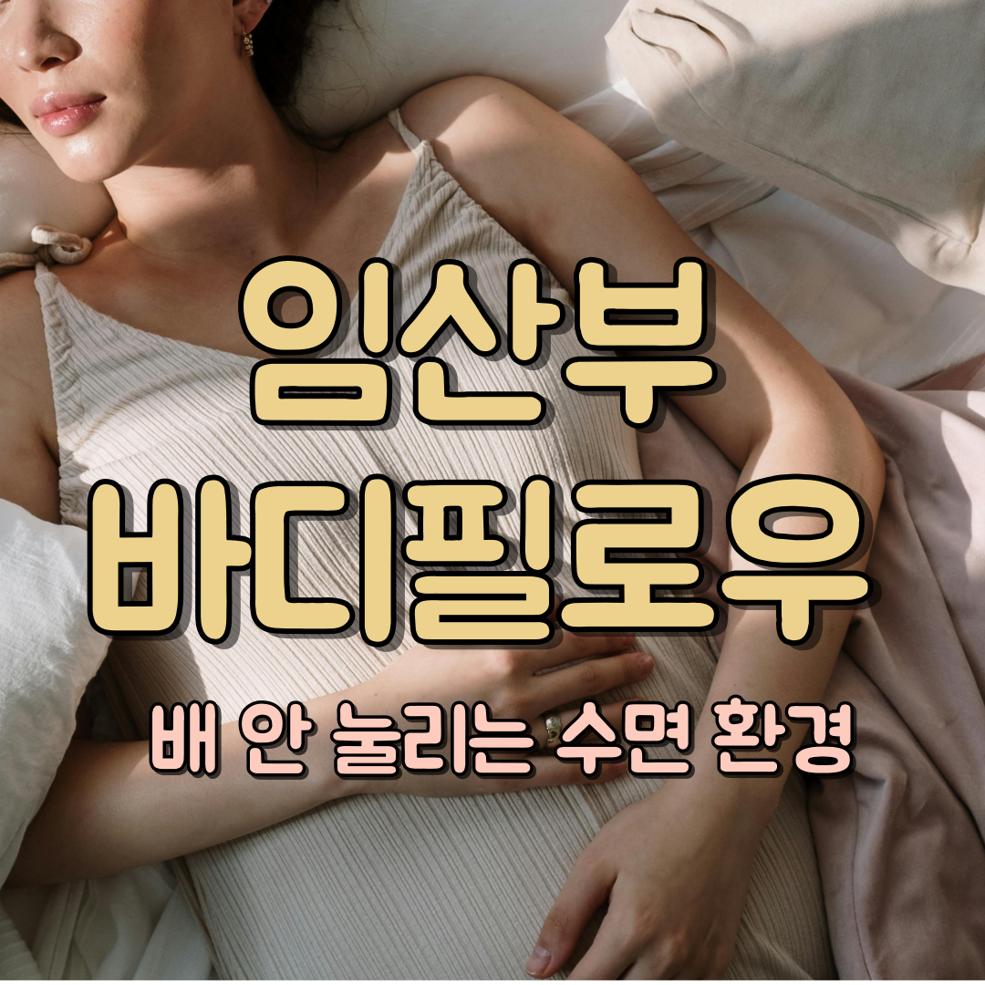 임산부 바디필로우 대표 이미지