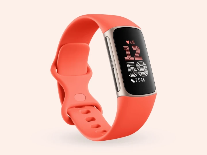 Fitbit Charge 6 - 가볍고 실용적인 가성비 스마트워치