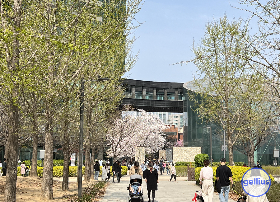 서울숲 살펴 볼 장소 두 번째&#44; 갤러리아포레 벚꽃