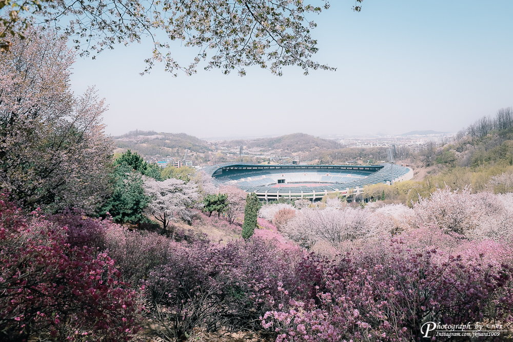  진달래동산