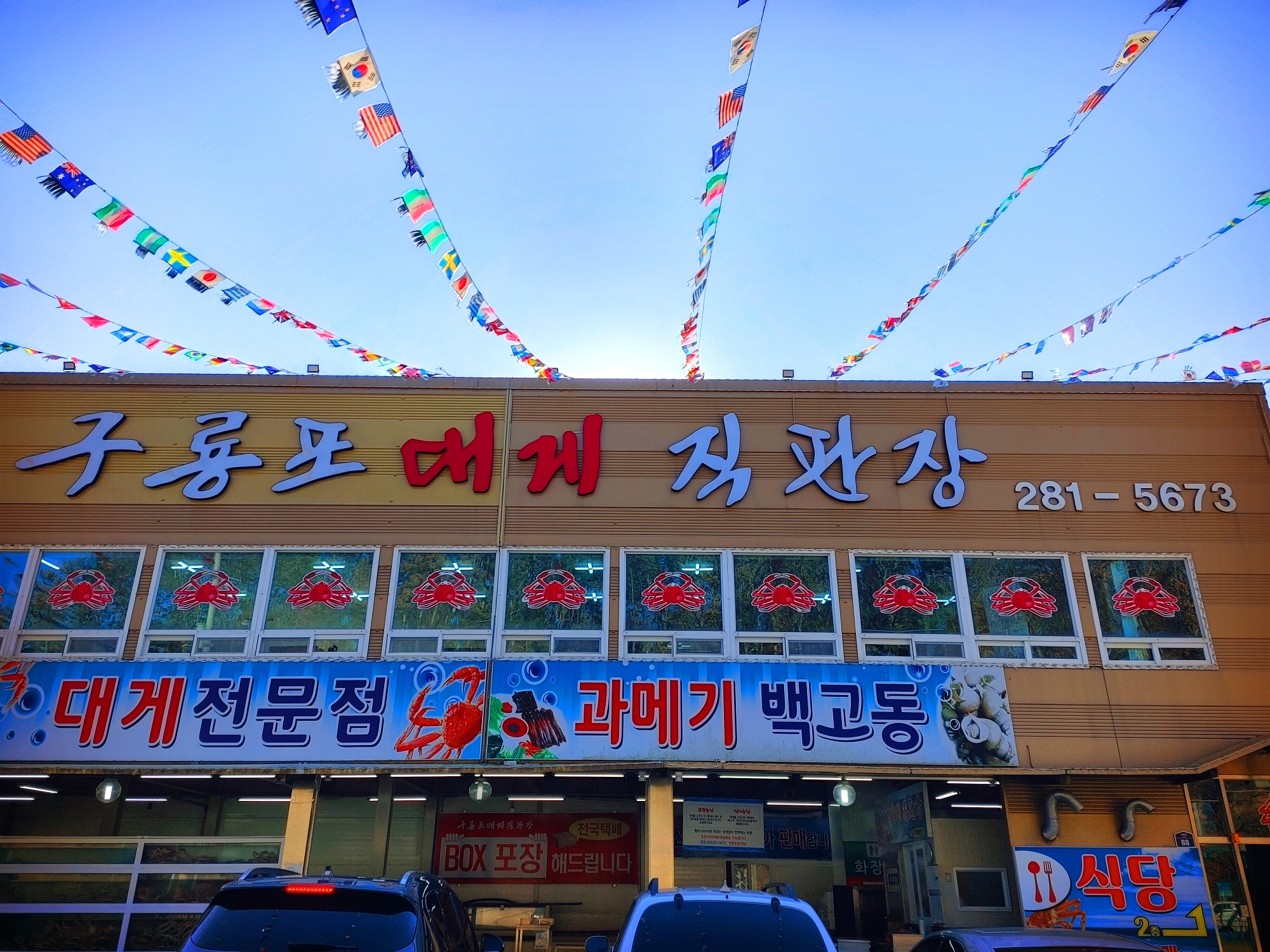  [포항 구룡포 맛집] 대게 킹크랩 박달대게 +2021.12.10시세 가격