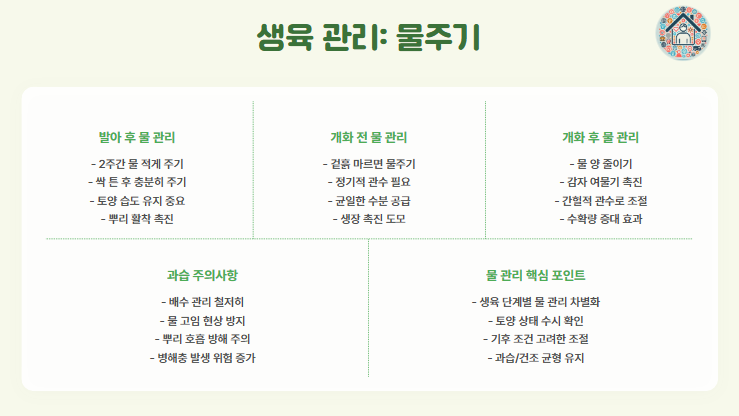 감자 재배법