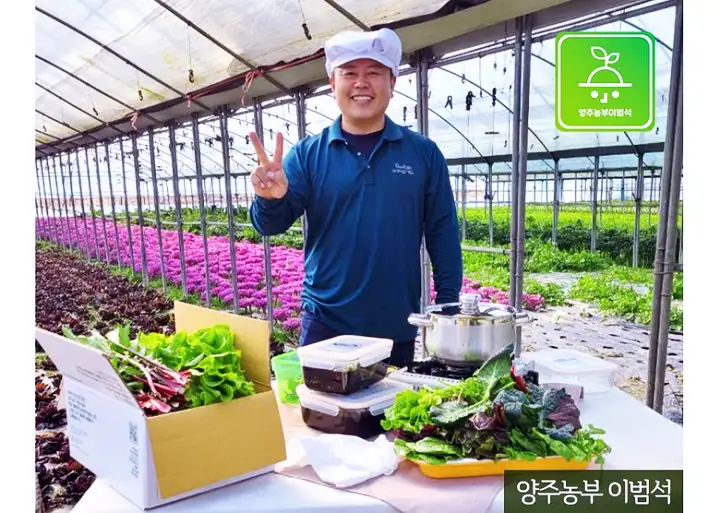 서민갑부 쌈채소 방울토마토 오이 전국 택배 온라인 주문 야채 파는 곳 연 매출 10억 원 귀농 농부 이범석 방송 정보