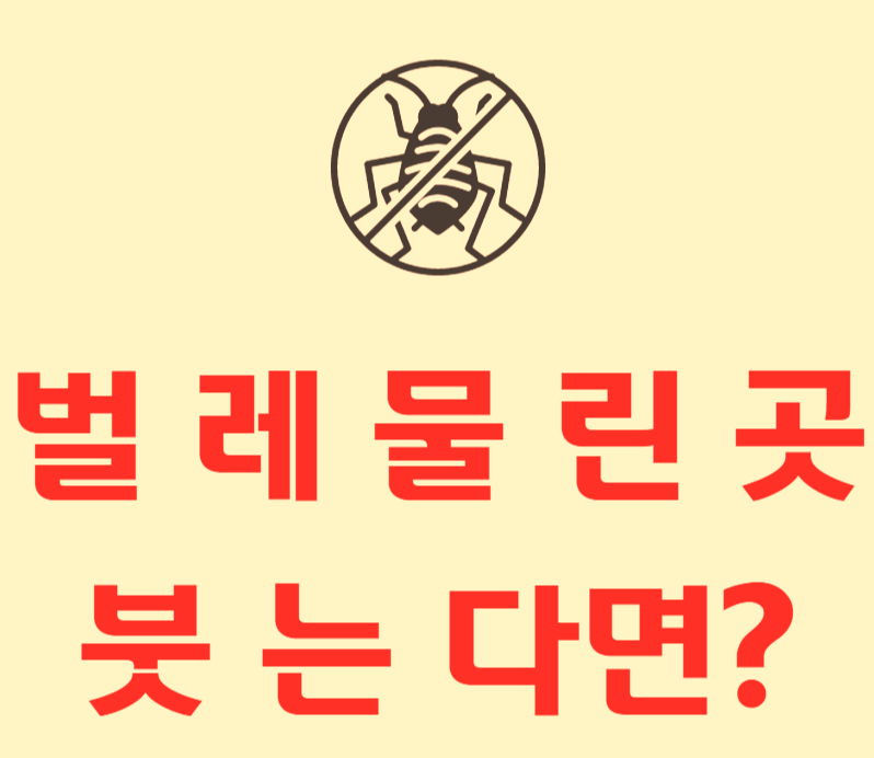  벌레 물린데가 붓는다면 종류