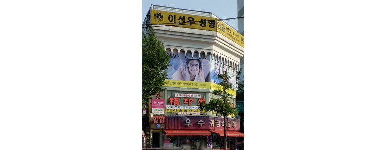 서울 종로구 성형외과