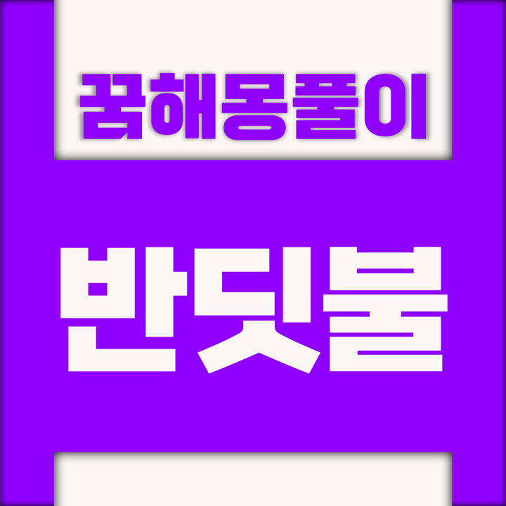  [꿈해몽풀이] 반딧불 꿈해몽 모음