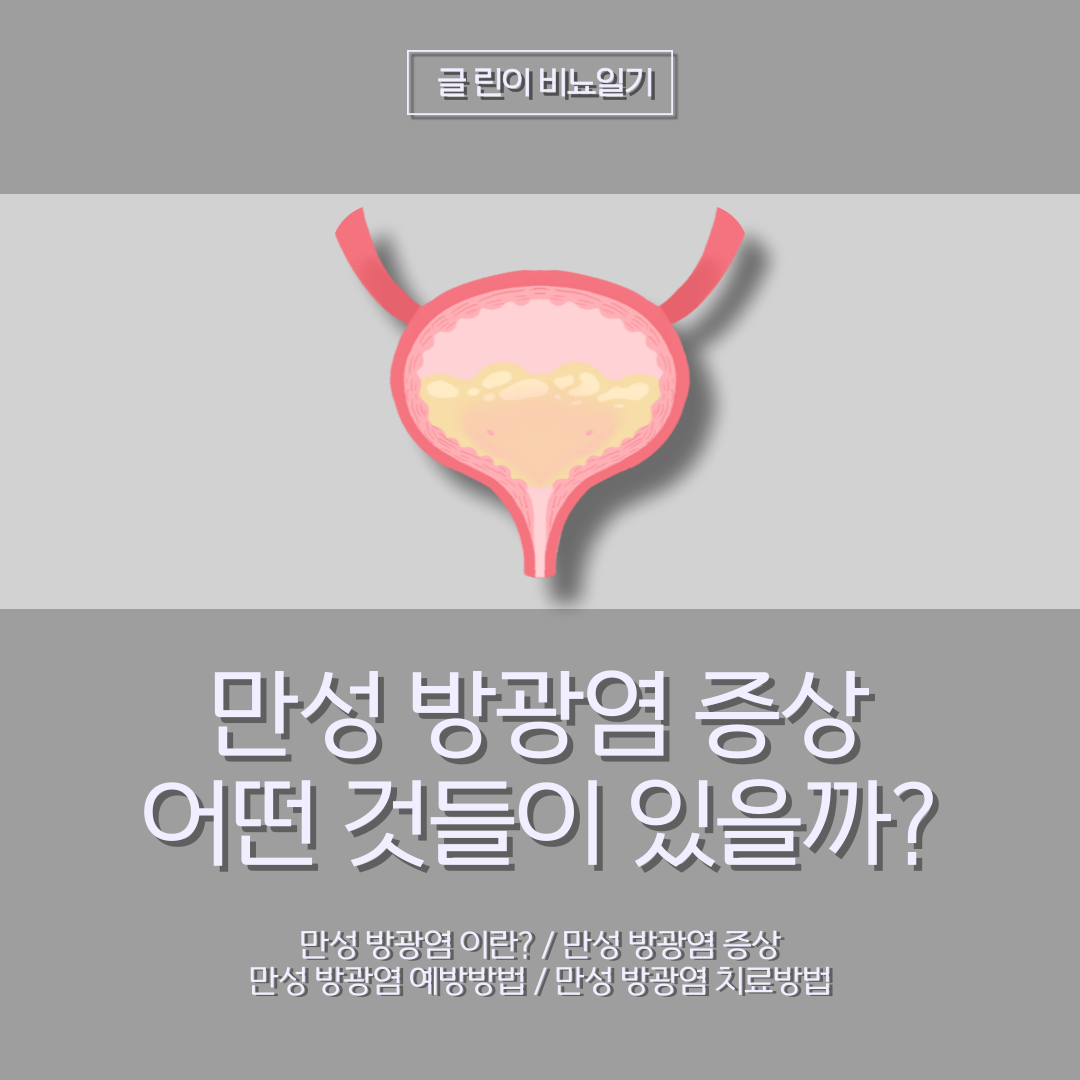  만성 방광염 증상 어떤 것들이 있을까?
