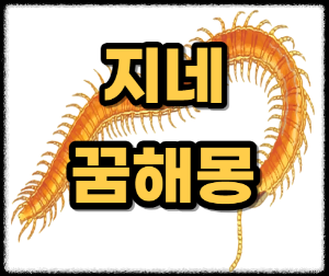 지네해몽에 대한 썸네일