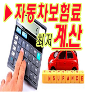  내차량보험조회 내자동차보험조회 최저가 어디 찾으세요?