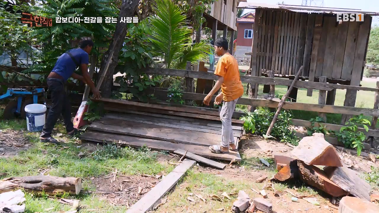 TV - 전 국민의 평생학교 EBS캄보디아 - 독충을 잡는 사람들.mp4_20230501_173354.789.jpg