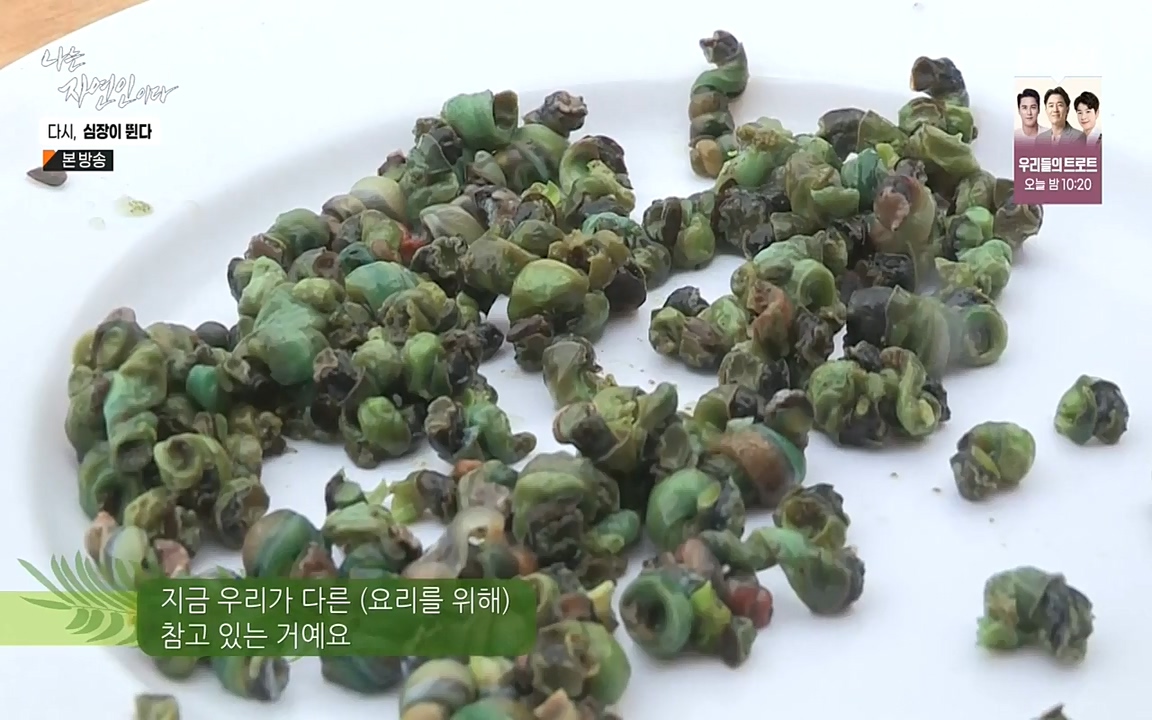 나는 자연인이다.E519.220915p-NEXT.mp4_20220915_201152.235.jpg