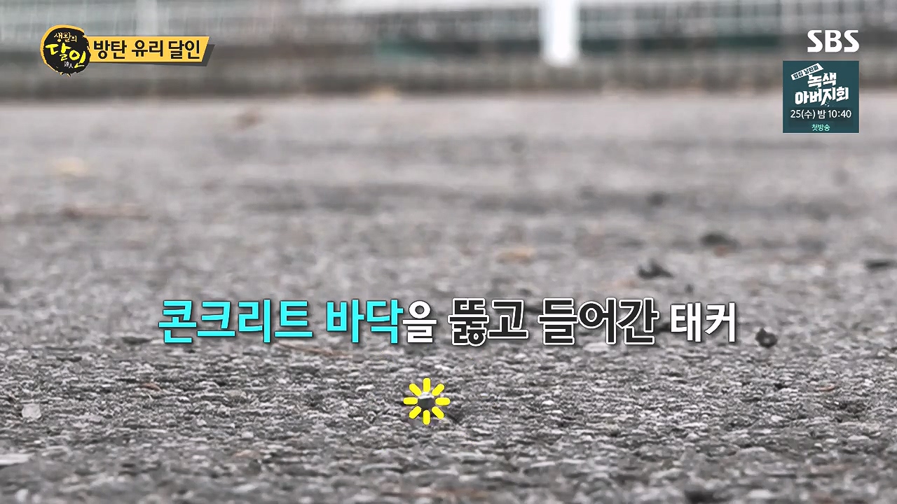 생활의 달인.E908.231017p-NEXT.mp4_20231017_195051.201.jpg