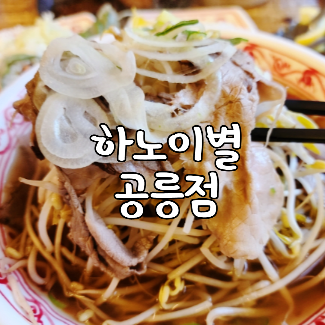  [공릉맛집] 하노이별 공릉동철길 쌀국수 맛집
