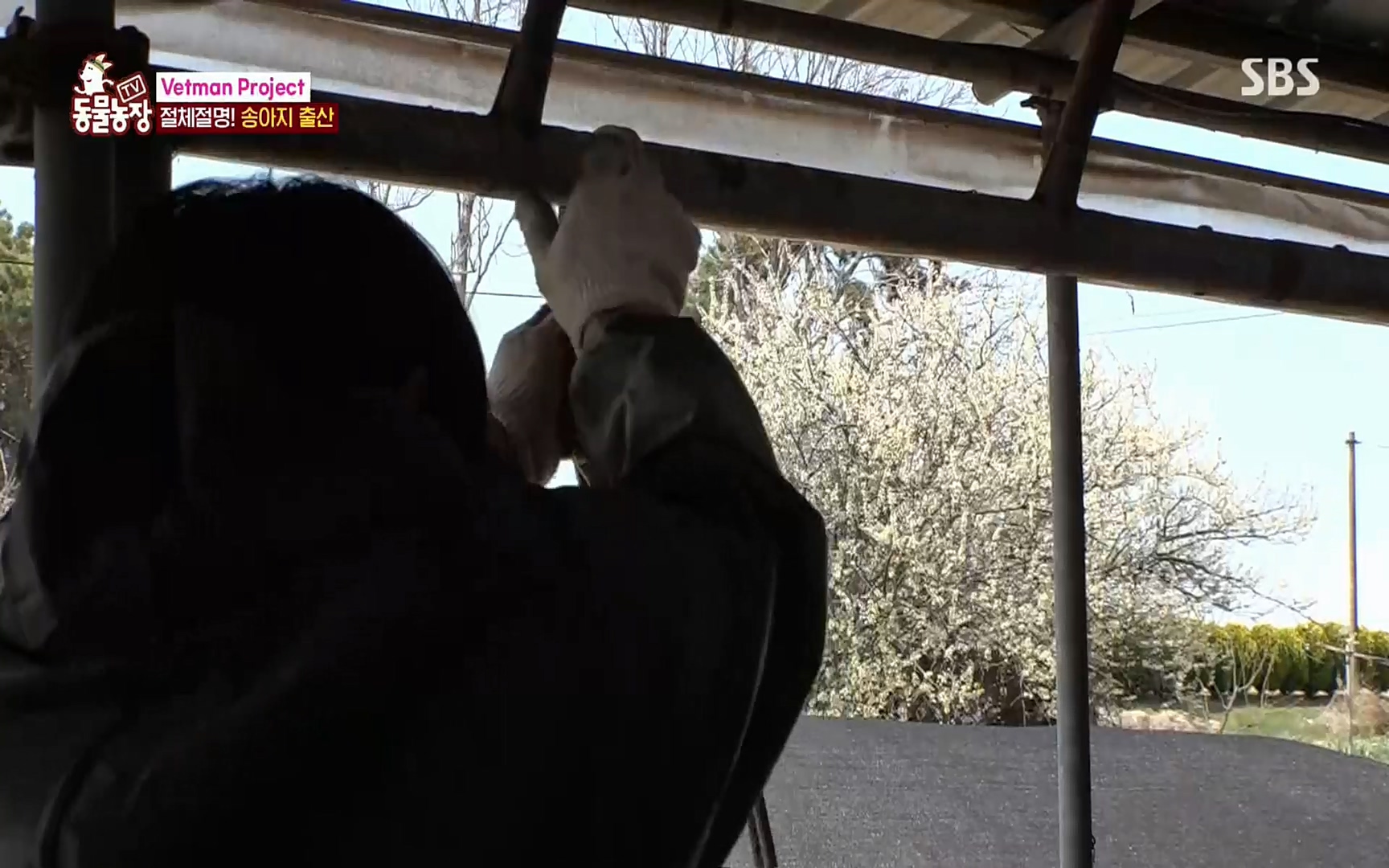 TV 동물농장.E1069.220515p.H264-F1RST.mp4_20220515_180041.534.jpg