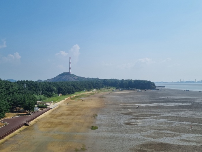 갯벌