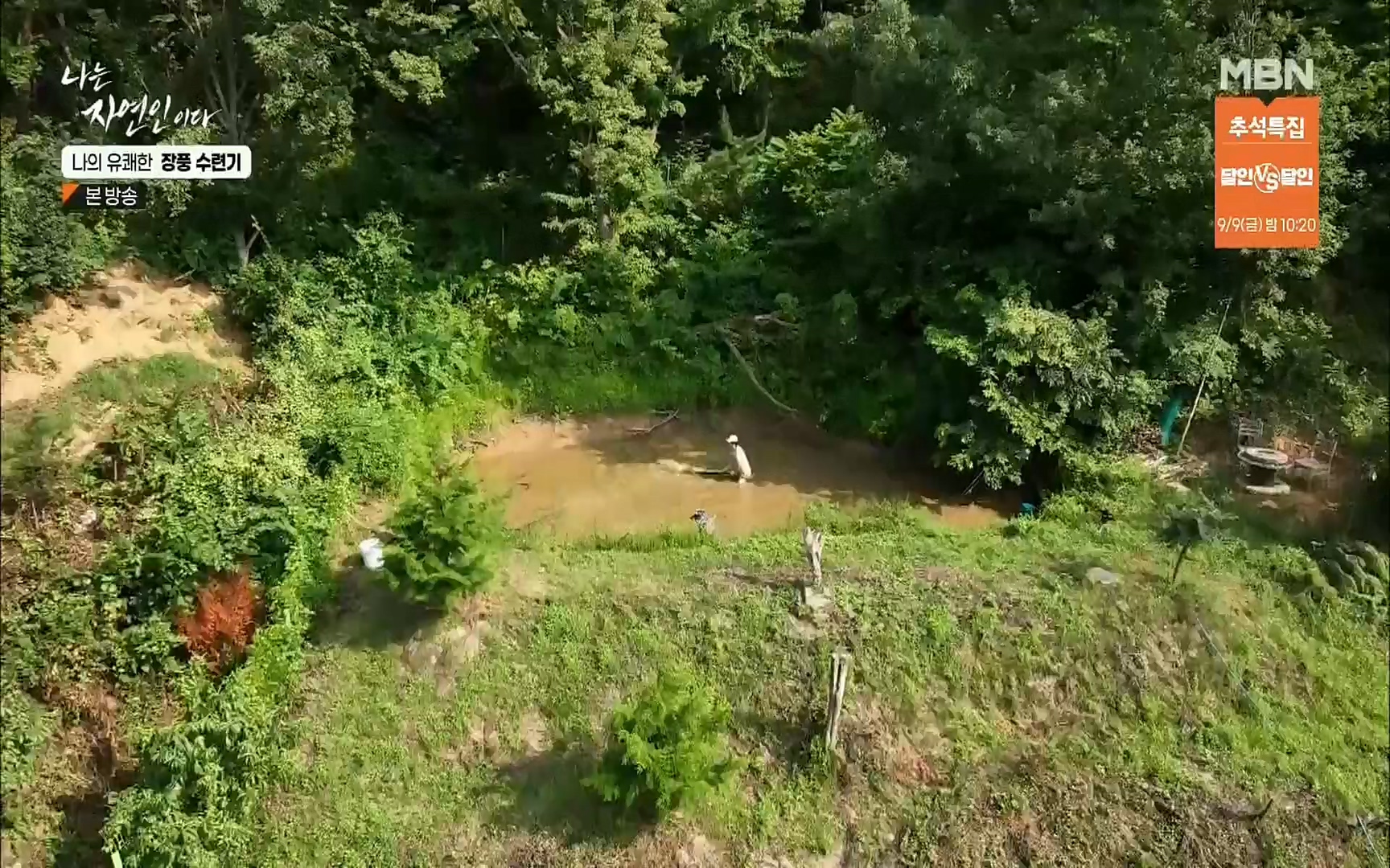 나는 자연인이다.E517.220831p.H264-F1RST.mp4_20220901_200956.866.jpg