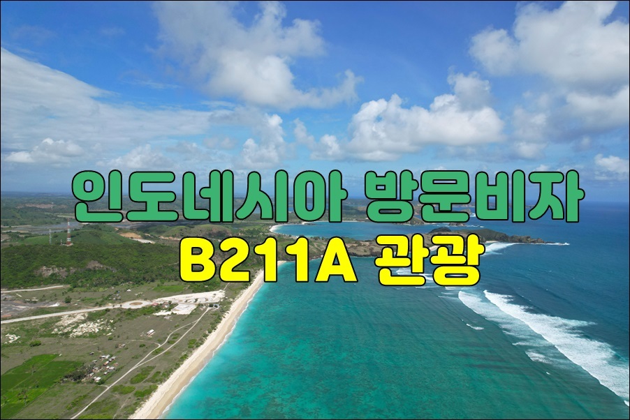  인도네시아 방문비자 B211A 관광