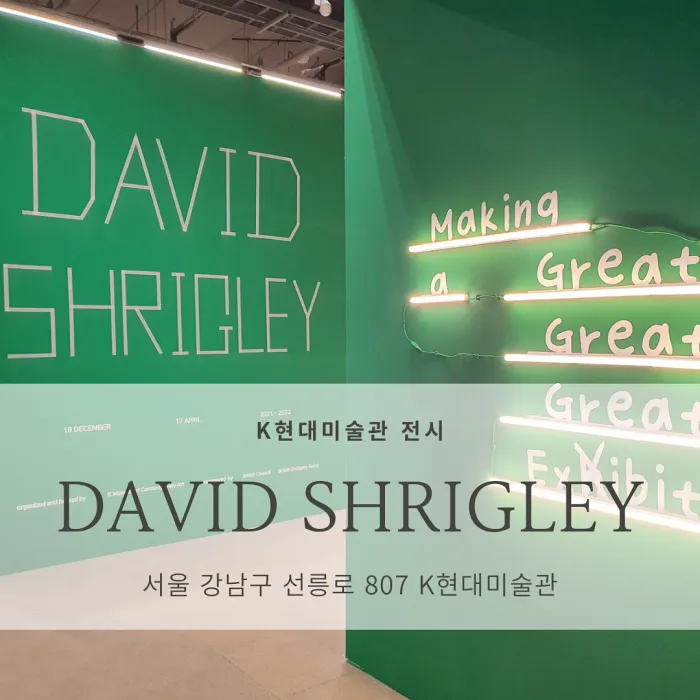  [서울 K현대미술관 전시] 데이비드 슈리글리:EXIBITION <David Shrigley>