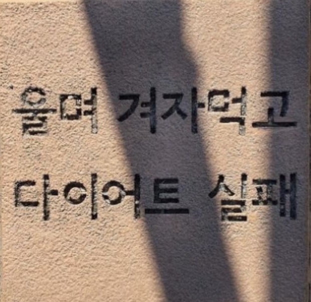 용인대학교24시 7