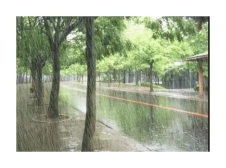 슬픈발라드모음