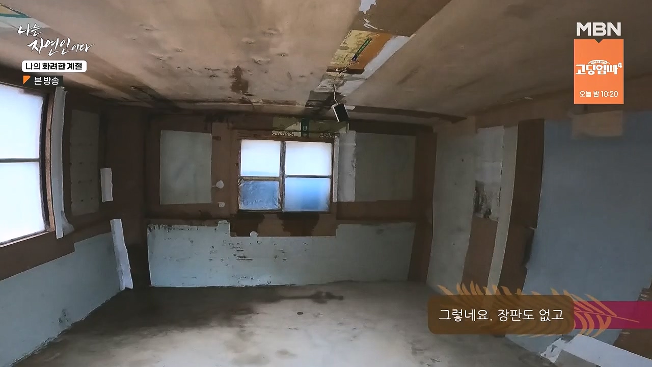 나는 자연인이다.E587.240104p-NEXT.mp4_20240104_195906.238.jpg