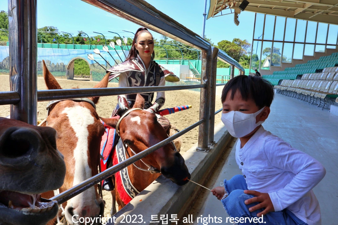 긴 꼬치에 꽃아진 당근을 말에게 먹여준다